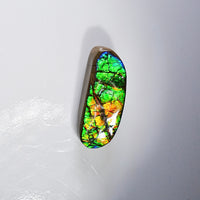 Freeform Ammolite Loose Gemstone  #A325