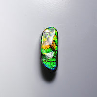 Freeform Ammolite Loose Gemstone  #A325