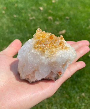 Citrine Display (0.54LB) #2506