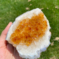 Citrine Display (0.94LB) #2505