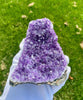 Amethyst Display (1.49 LB) #2509