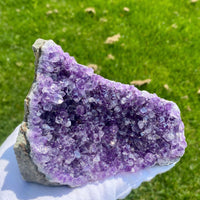 Amethyst Display (1.49 LB) #2509