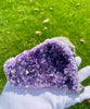 Amethyst Display (1.49 LB) #2509