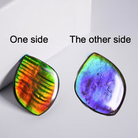 DOUBLE-SIDED FREEFORM AMMOLITE LOOSE GEMSTONE #A366