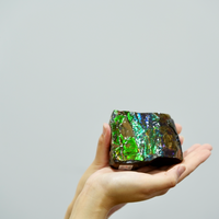 Ammolite Hand Sample Stone #605