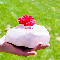 Rose Quartz Candle Holder #1964