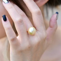 13.5~14mm South Sea Gold Pearl Ring #2051