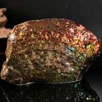 Polished Ammolite Stone #2540