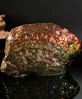 Polished Ammolite Stone #2540