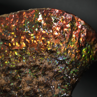 Polished Ammolite Stone #2540