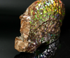 Polished Ammolite Stone #2540