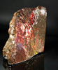 Polished Ammolite Stone #2542