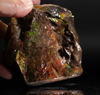 Polished Ammolite Stone #2545