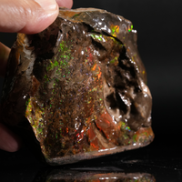 Polished Ammolite Stone #2545