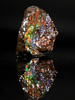 Polished Ammolite Stone #2552