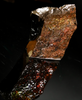 Polished Ammolite Stone #2555