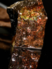 Polished Ammolite Stone #2555