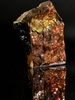 Polished Ammolite Stone #2555