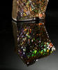 Polished Ammolite Stone #2555