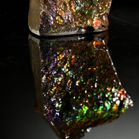 Polished Ammolite Stone #2555