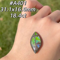 Freeform Natural Ammolite Loose Gemstone #A401