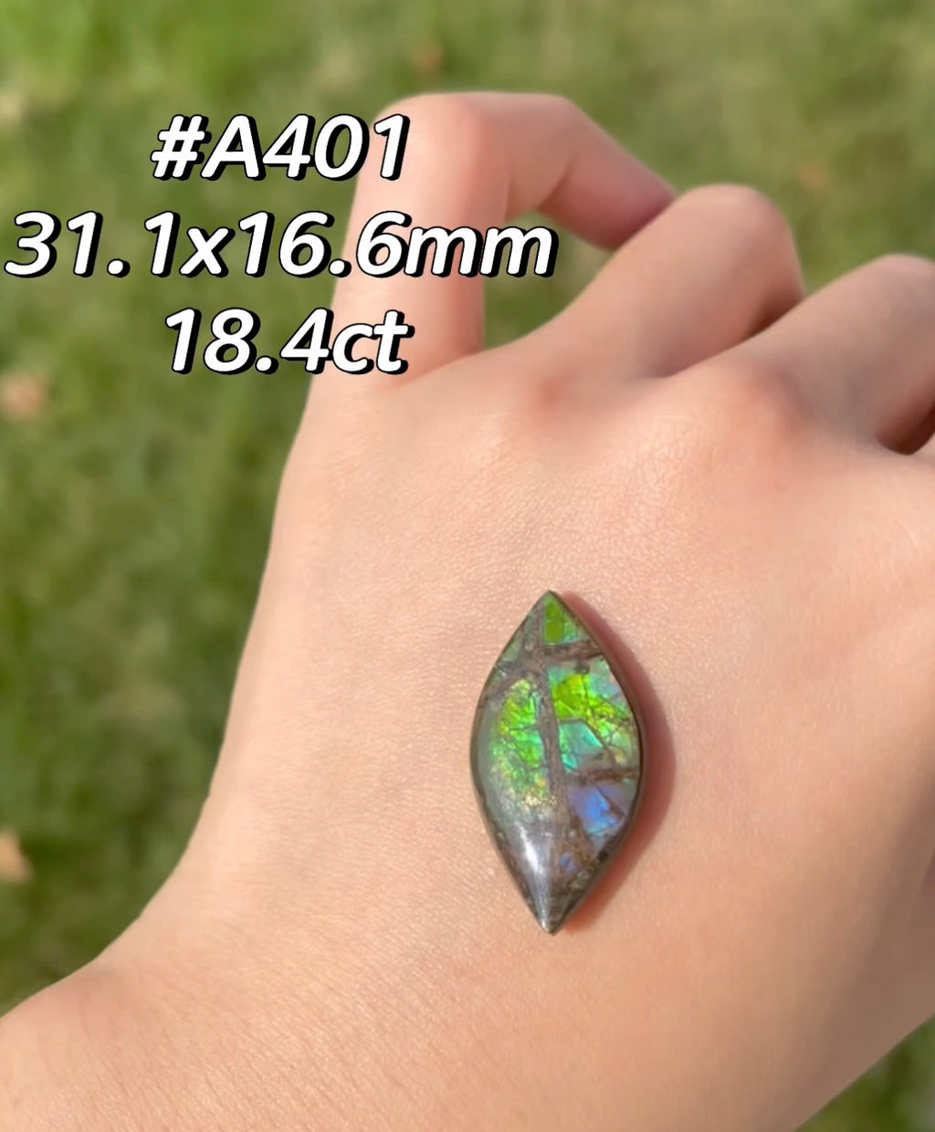 Freeform Natural Ammolite Loose Gemstone #A401