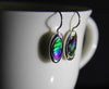 Ammolite Earrings #103