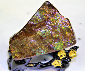 Ammolite Polished Stone #233