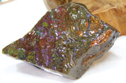 Ammolite Cut & Polished Stone #236