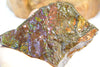 Ammolite Cut & Polished Stone #236