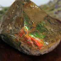 Polished Ammolite Stone #265