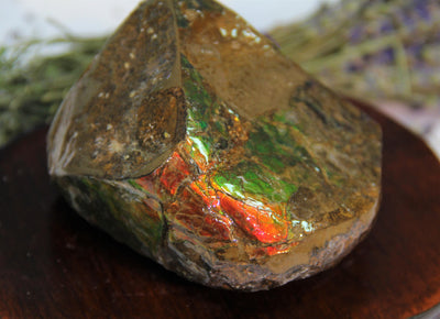 Polished Ammolite Stone #265