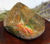 Polished Ammolite Stone #265