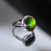 Ammolite Ring #358