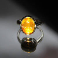 Ammolite Ring #358