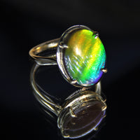 18K Ammolite Ring #367