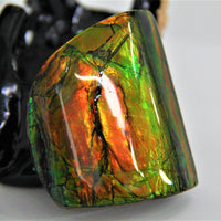 POLISHED AMMOLITE STONE #390