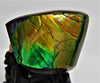 POLISHED AMMOLITE STONE #392