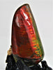 POLISHED AMMOLITE STONE #395