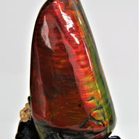 POLISHED AMMOLITE STONE #395