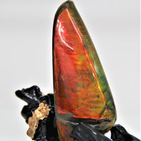 POLISHED AMMOLITE STONE #395