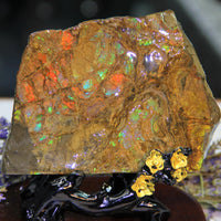 Polished Ammolite Stone #795