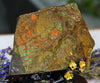 Polished Ammolite Stone #795