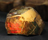 Polished Ammolite Stone #805