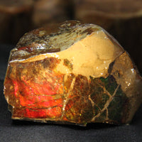 Polished Ammolite Stone #805