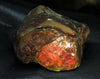 Polished Ammolite Stone #805