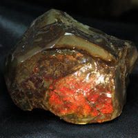 Polished Ammolite Stone #805