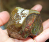 Polished Ammolite Stone #805