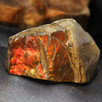 Polished Ammolite Stone #811