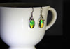 Ammolite Dangling Earrings #850